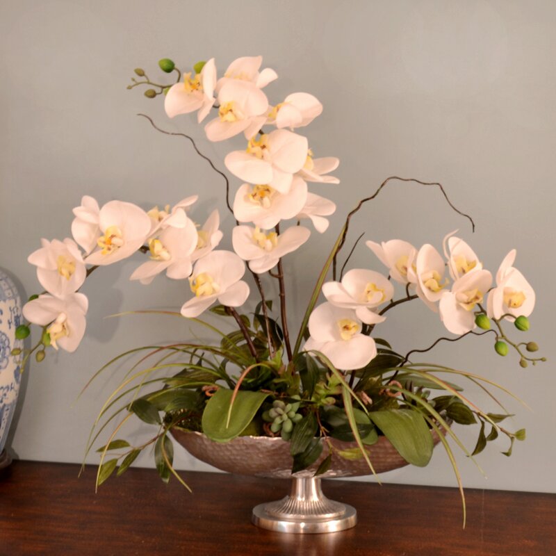 Floral Home Decor Silk Orchid in Pedestal Bowl & Reviews | Wayfair
